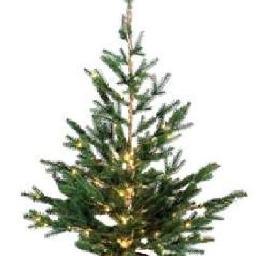 68806 Albero di Natale in PE con 70 LED bianchi 80 cm <br/> Alberi di Natale