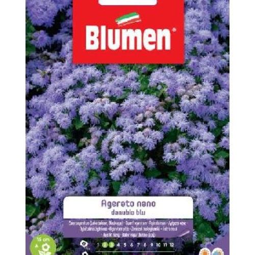Blumen giardino fiori Agerato nano blu <br/> Semi da Fiore