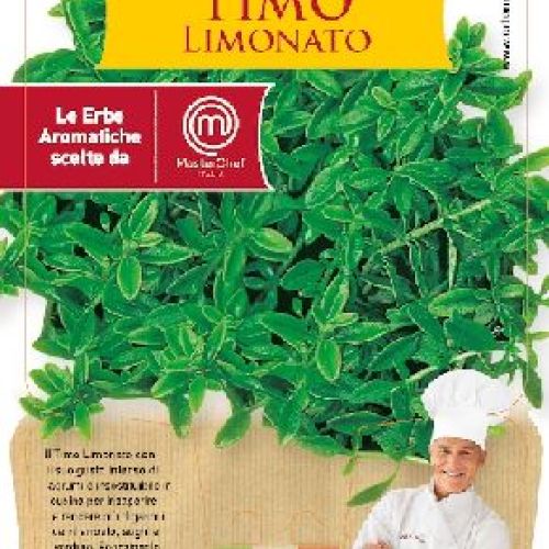 TIMO LIMONATO V14 MASTERCHEF <br/> Piante Aromatiche
