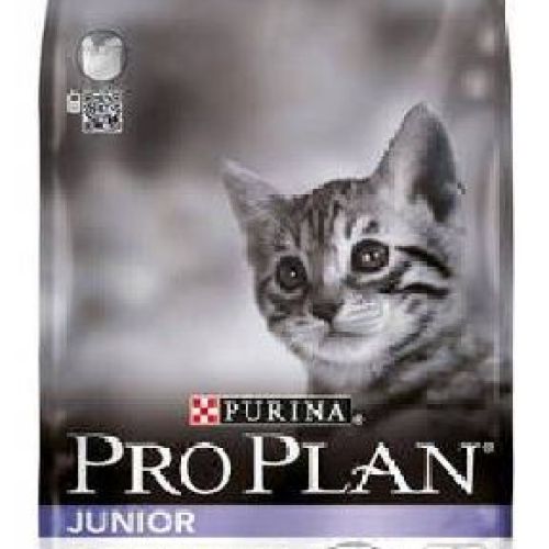 Pro Plan Cat Kitten 400 gr <br/> Cibo Secco per Gatti