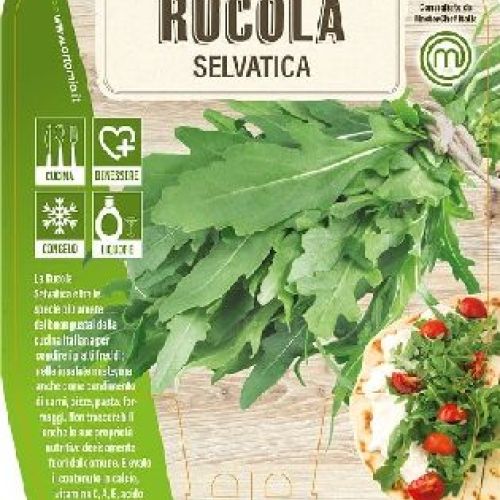 RUCOLA SELVATICA V14 MASTERCHEF <br/> Piante Aromatiche