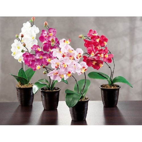24613 Vaso orchidea artificiale d9,5xh38cm <br/> Fiori Finti e Piante Finte