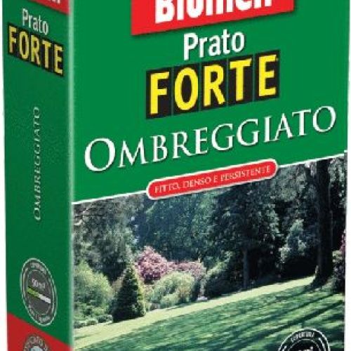 BLUMEN FORTE OMBREGGIATO 1 KG <br/> Semi per Prato