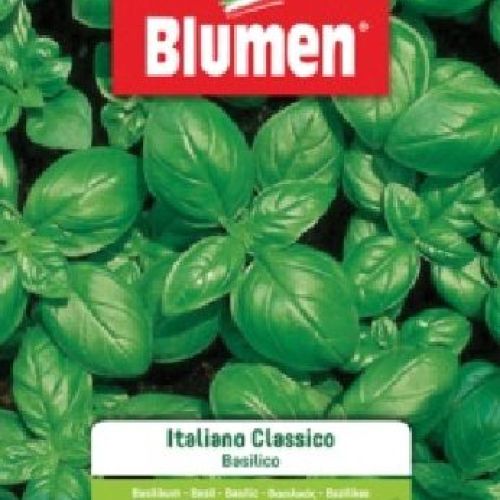 Blumen busta semi Basilico italiano classico <br/> Semi da Orto