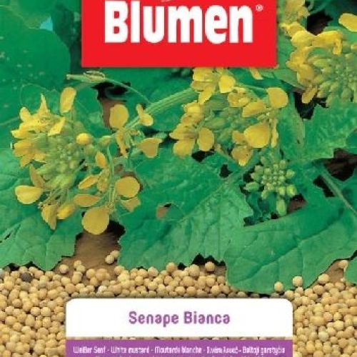 Blumen busta semi Senape bianca <br/> Semi da Orto