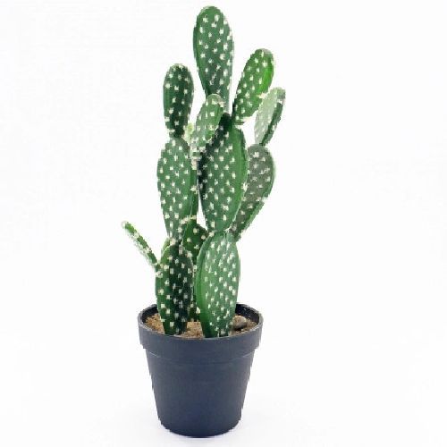 49709 Vaso cactus artificiale 44x12,5cm <br/> Fiori Finti e Piante Finte