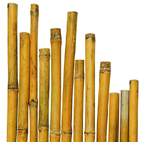 CANNA BAMBU&apos; H.180cm-DIAM.22/24/26mm <br/> Canne di Bamboo, Bordure e Tutori per Orto, Serre